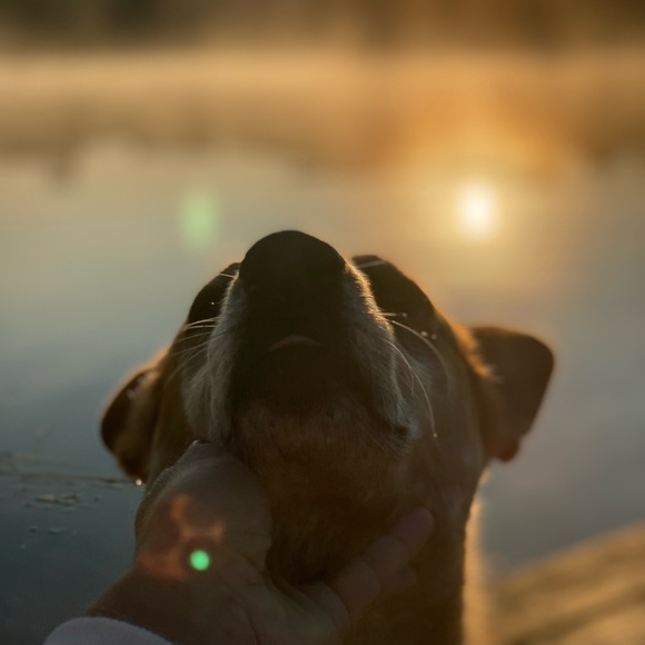 Meet your Posher, Blaire - Picture 2 of 2